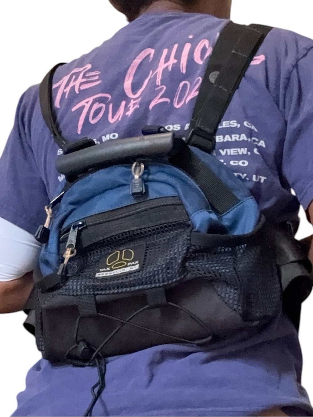 Yak Pak Brooklyn NY  blue Tour Lumbar Pack Hiking Bag